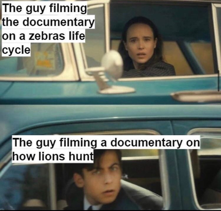 documentary - meme