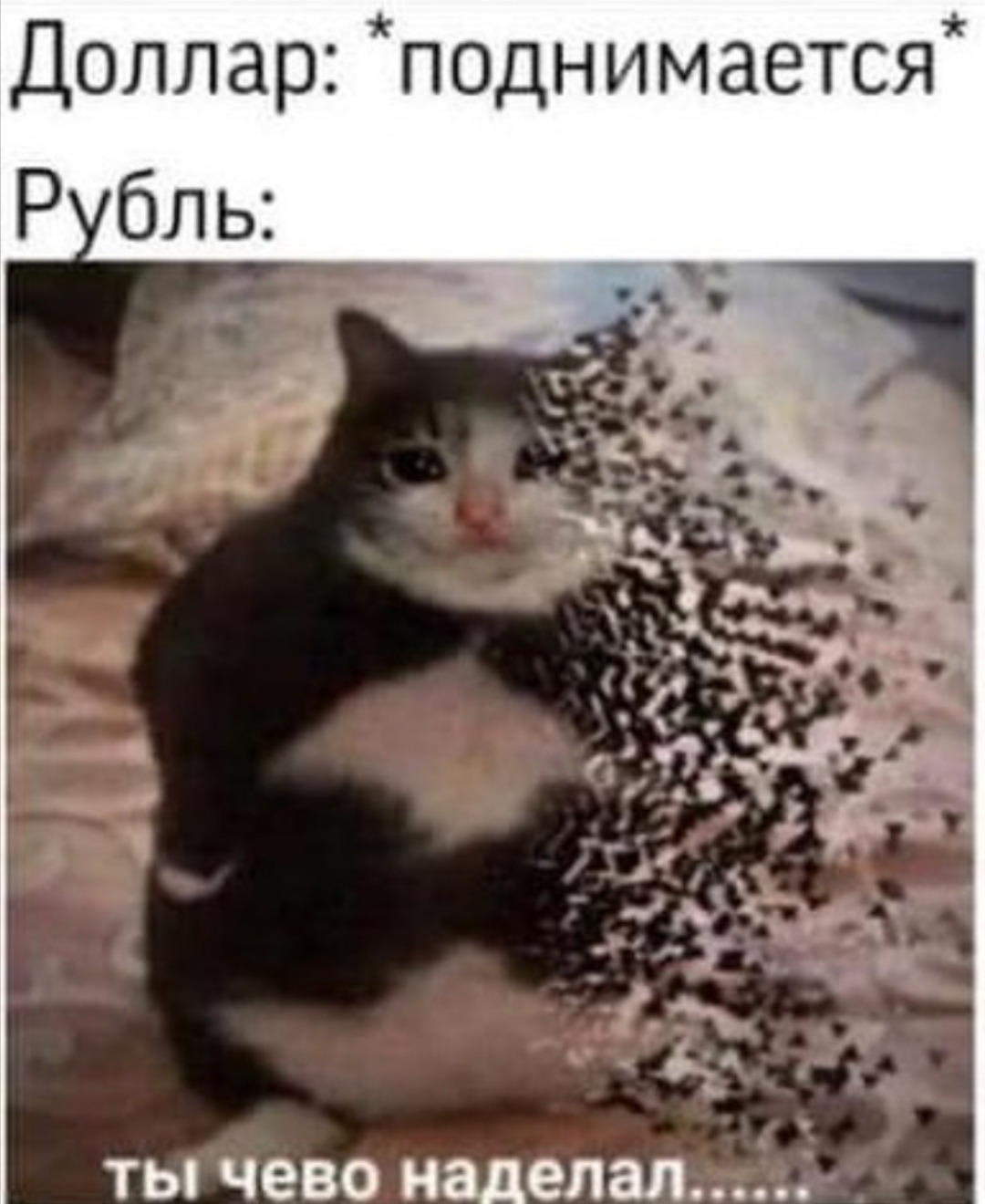 Ayos - Meme subido por Maguito_Luis :) Memedroid