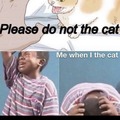 he the cat oh no