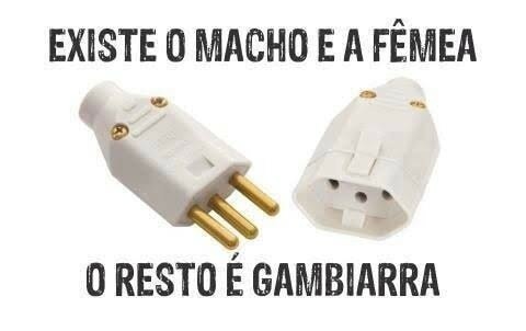 existe homem e muié, o resto é gambiarra - meme