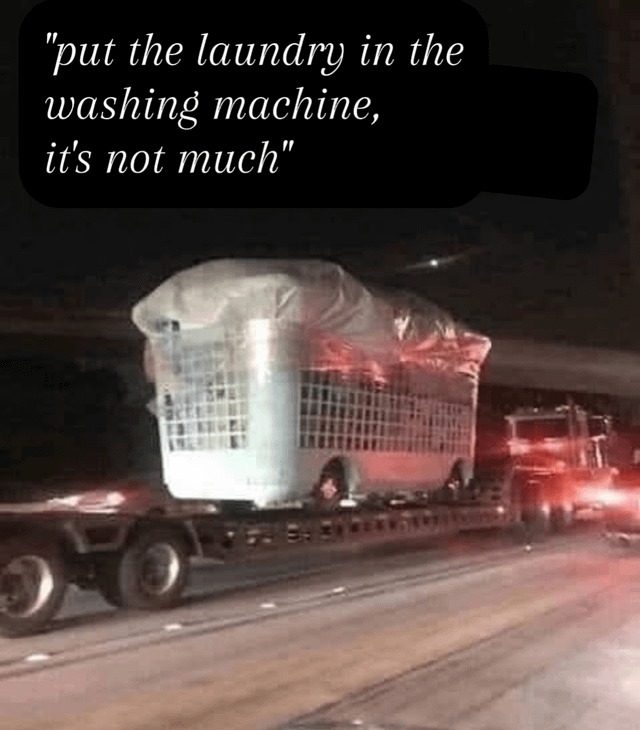 Put the laundry in the washing machine - meme