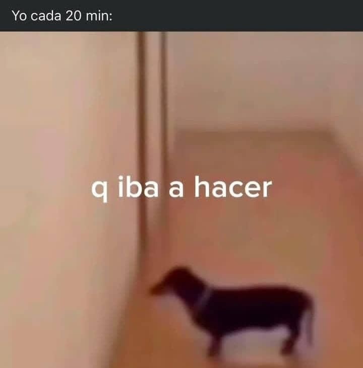 Q iba a hacer - meme