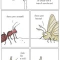 insect squad