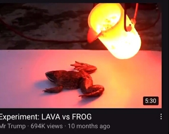lava vs frog - meme