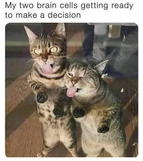 My brain cells - meme
