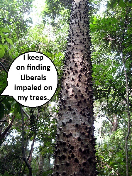 Tree-Huggers Welcome - meme