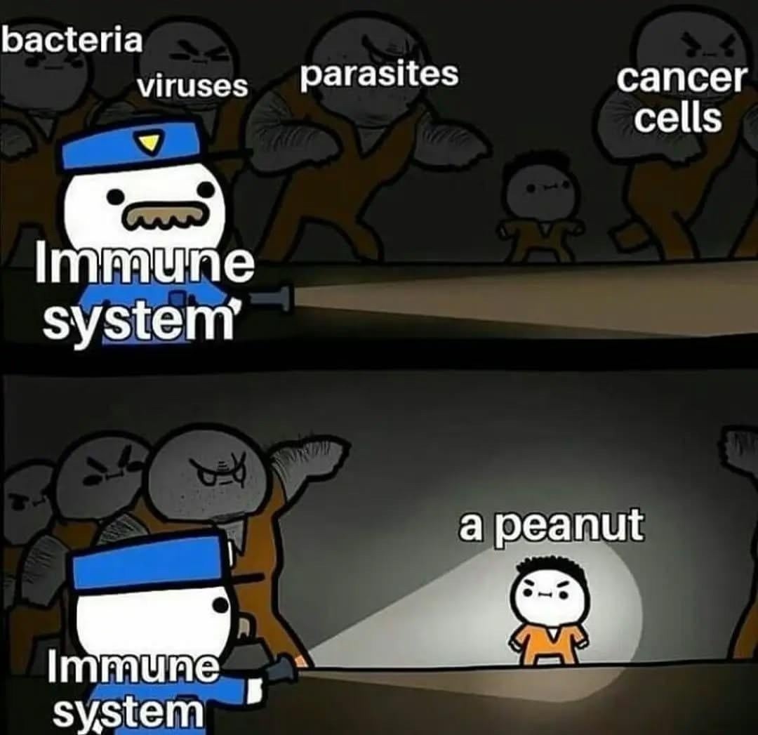 Immune system vs everything vs peanut - meme
