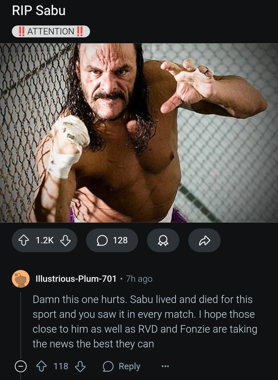 RIP Sabu. He gave everything for this sport - meme
