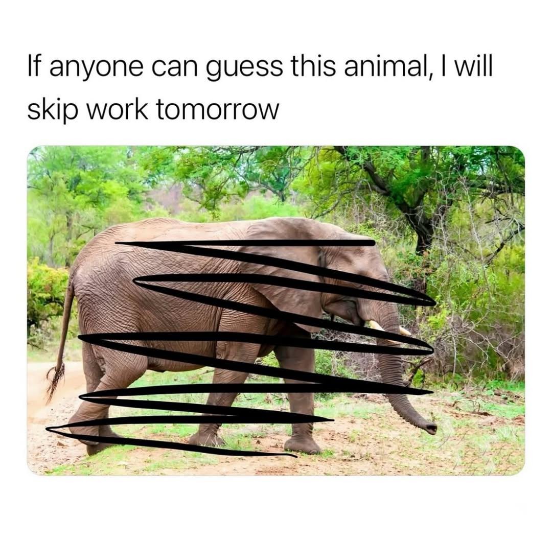 Guess this animal and I’ll skip work like a champ - meme