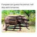 commented item thumbnail