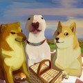 El chems, el Walter y el Doge en un dia felíz