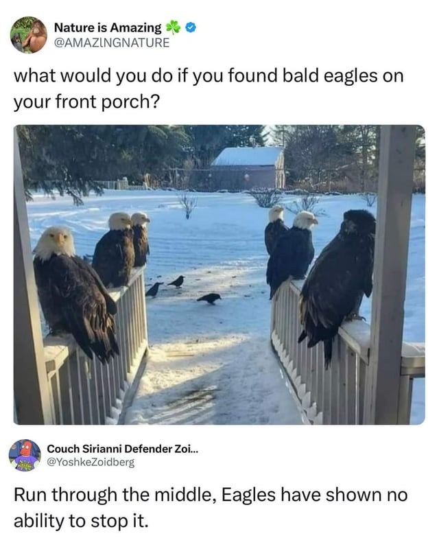 Funny NFL Eagles meme