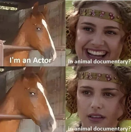 The horse actor - meme