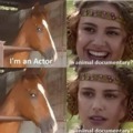 The horse actor