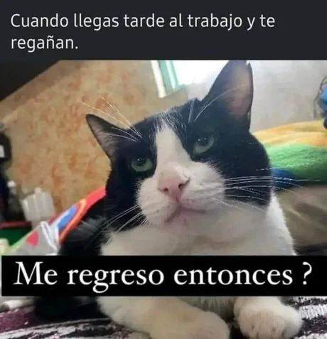meme de llegar tarde