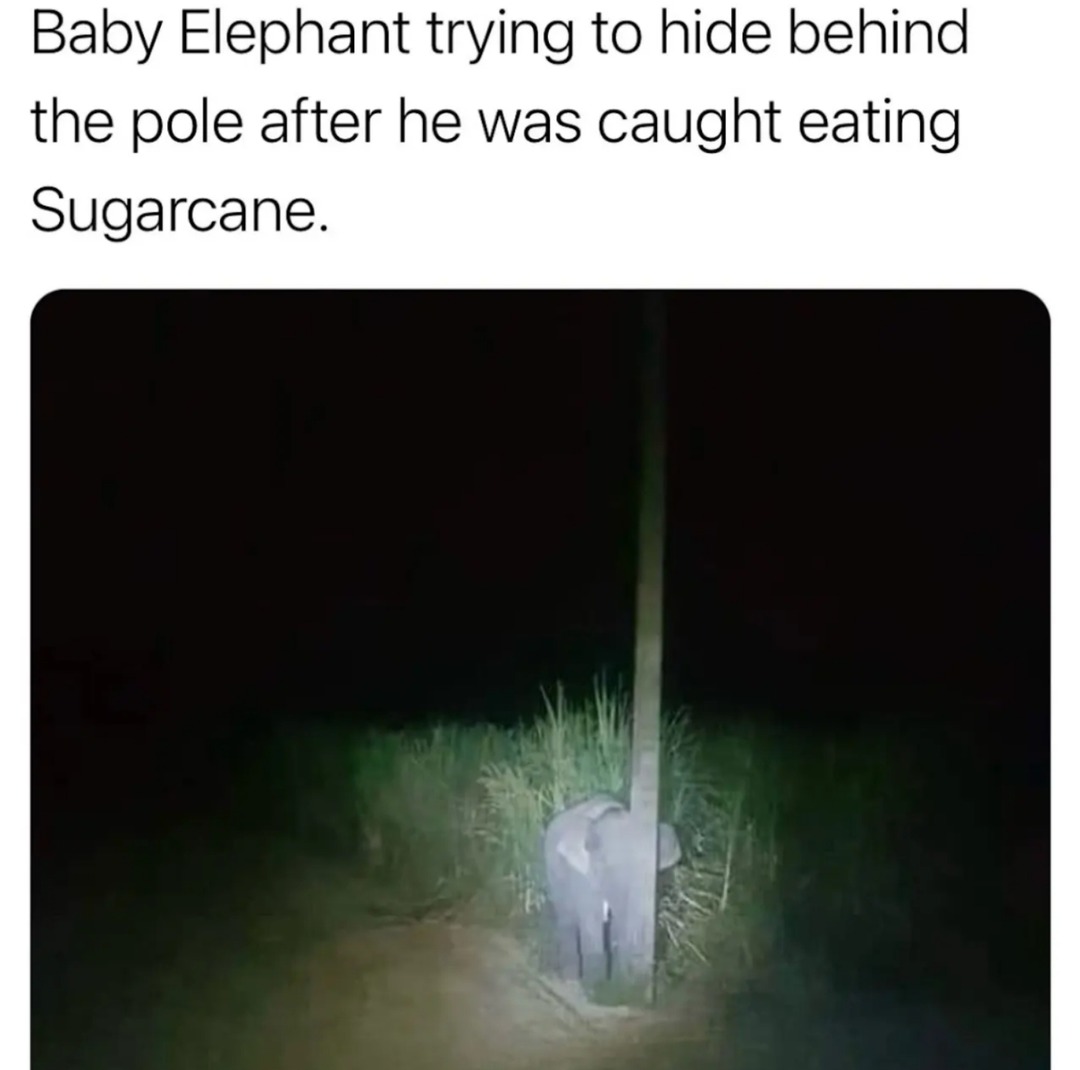 - - meme