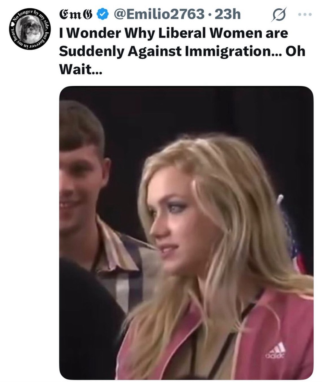 European beauty - meme