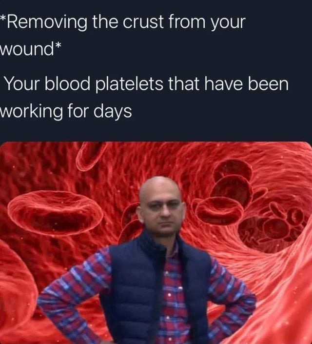 Are blood platelets a joke for you? - meme