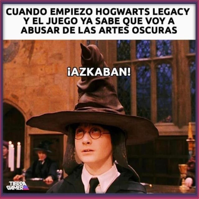 Hogwarts Legacy - meme